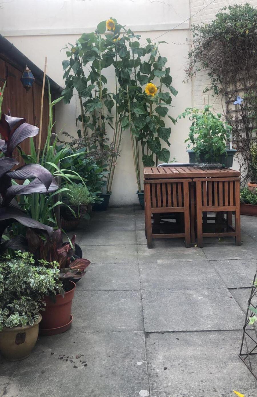 Spacious Private * Londra